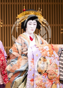 【10月平成中村座】助六曲輪初花桜