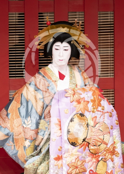 【10月平成中村座】助六曲輪初花桜