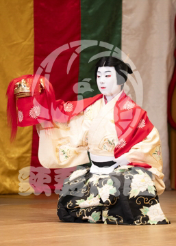 【10月平成中村座】連獅子