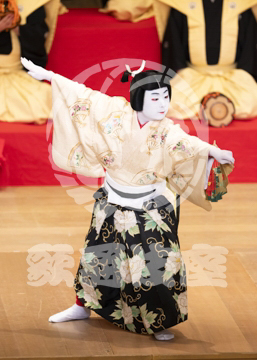 【10月平成中村座】連獅子