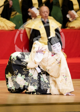 【10月平成中村座】連獅子