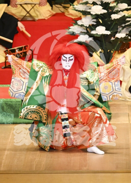 【10月平成中村座】連獅子