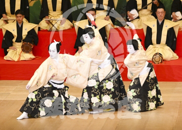 【10月平成中村座】連獅子