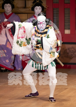 【10月平成中村座】助六曲輪初花桜
